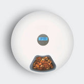 Alimentador Automático Cães Com Programador De Refeições