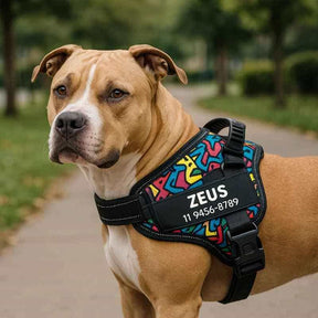 Peitoral Para Cachorro, Personalize Com o Nome Do Seu Pet