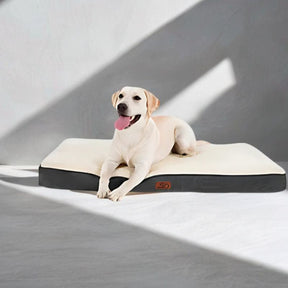 Cama Impermeável Para Cachorro