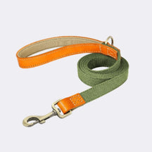 Guia Para Cachorro Resistente