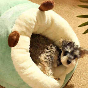 Caminha Para  Cachorro Pequeno