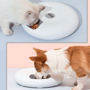 Alimentador Automático Cães Com Programador De Refeições