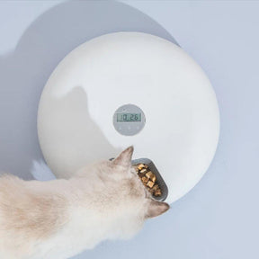 Alimentador Automático Cães Com Programador De Refeições