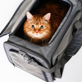 Bolsa De Transporte Pet - Conforto e Praticidade