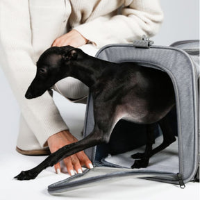 Bolsa De Transporte Pet - Conforto e Praticidade
