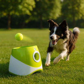 Brinquedos Interativos Para Cães - Lançador De Bola Automático