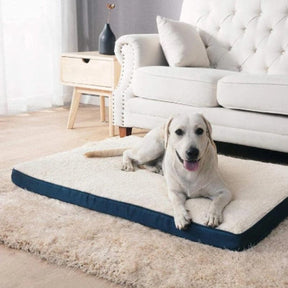 Cama Impermeável Para Cachorro