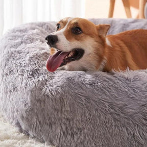 Cama Para Cachorro Redonda e Aconchegante