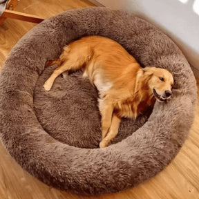 Cama Para Cachorro Redonda e Aconchegante