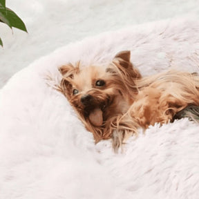 Cama Para Cachorro Redonda e Aconchegante