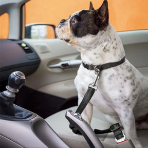 Cinto De Segurança Ajustável Para Cães