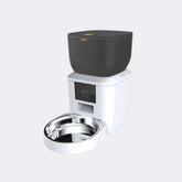 Alimentador Automático Para Pets