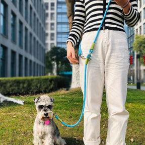 Guia Corda Para Cães Mãos Livres