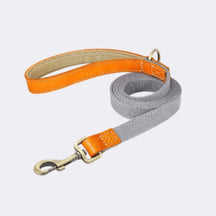 Guia Para Cachorro Resistente