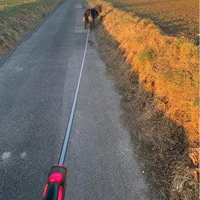 Guia Retrátil Passeio Para Cães