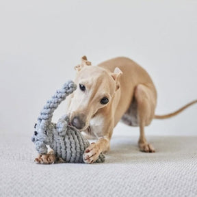 Mordedor Para Cachorro - Corda Resistente