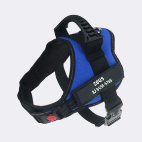 Peitoral Para Cachorro, Personalize Com o Nome Do Seu Pet