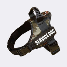 Peitoral Para Cachorro, Personalize Com o Nome Do Seu Pet