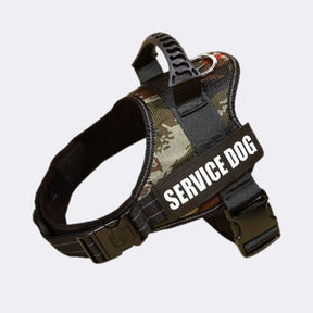 Peitoral Para Cachorro, Personalize Com o Nome Do Seu Pet
