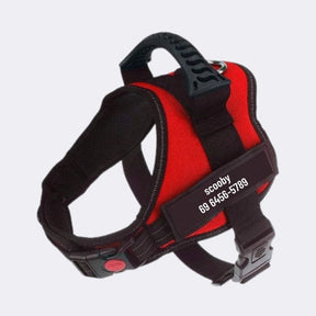 Peitoral Para Cachorro, Personalize Com o Nome Do Seu Pet